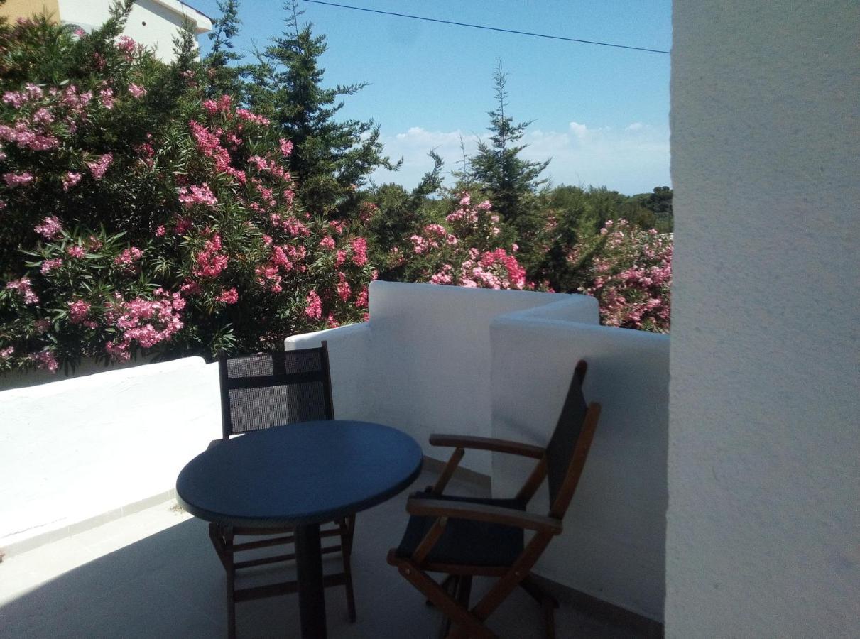 Apartments And Rooms Camelia Premantura Exterior photo